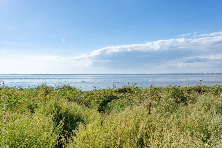 Мелководный Бердянский залив со стороны косы