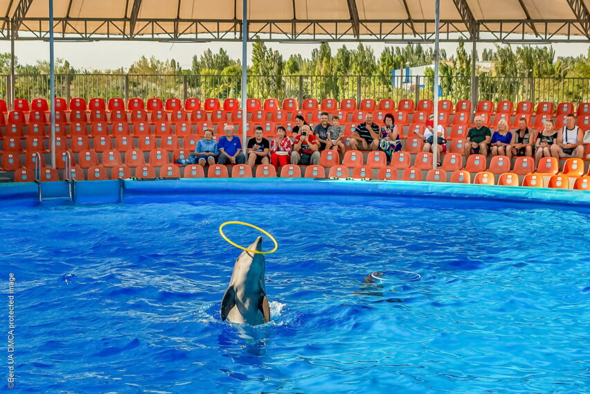 Дельфинарий «Немо» в Бердянске