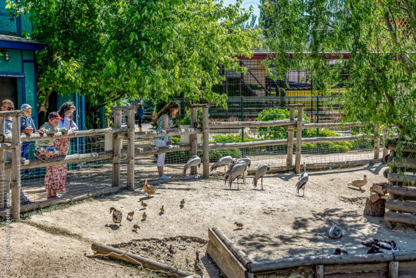 Зоопарк «Сафари» в Бердянске
