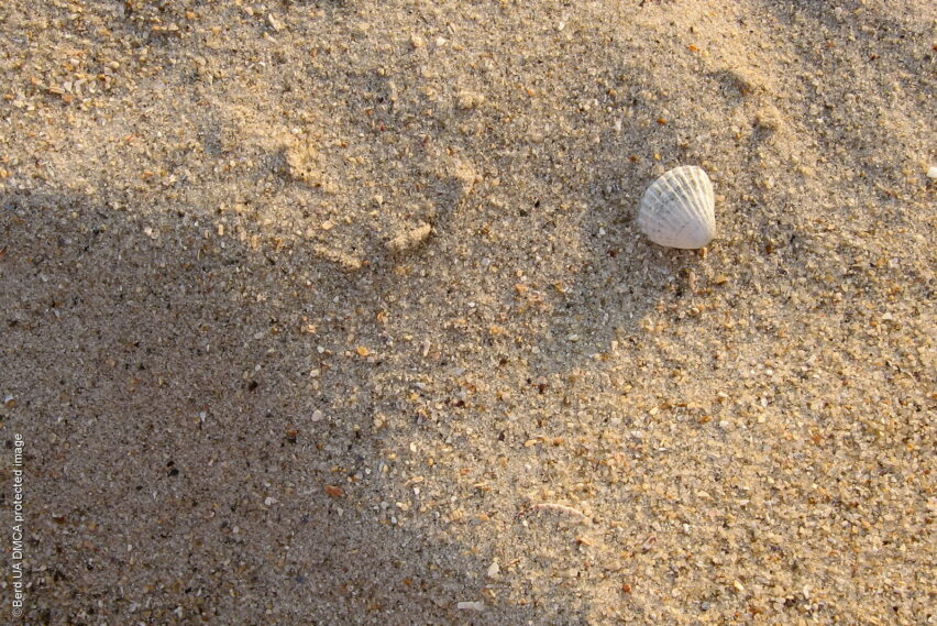 Песок на пляже Бердянска — источник псаммотерапии